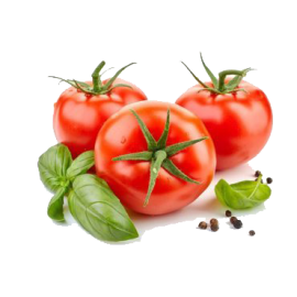 Biolife juicy tomatoes